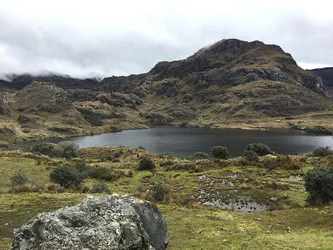 El Cajas National Park near Cuenca, Ecuador