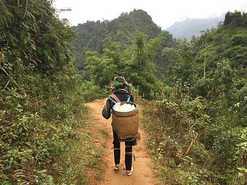 Trekking behind a local indiginous tribeswoman in Sapa, Vietnam