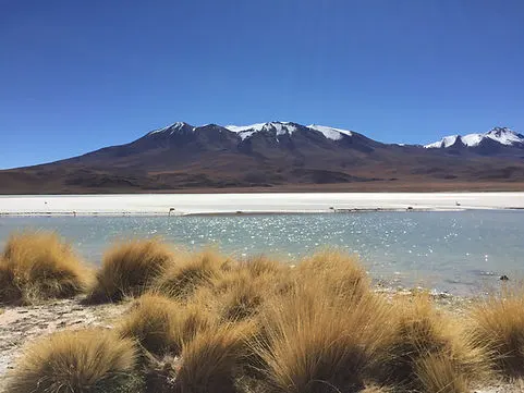 a lake and flamingos overlooking a mountain in the Uyuni Salt Flats in the Atacama Desert, Bolivia