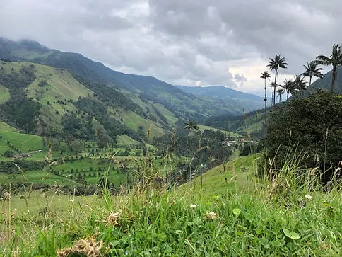 Hills and clouds on the Cocora Valley trek in Salento Colombia