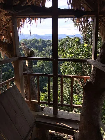 Treehouse at the Gibbon Experience near Huay Xai in Laos