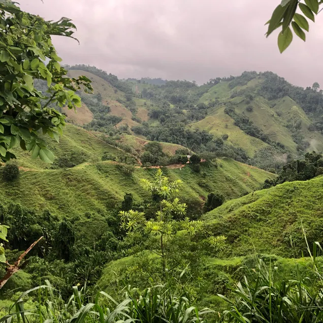 a beautiful photo of the rolling hills of Colombia in the Santa Marta region on the Lost City Trek
