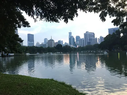 overlooking the lake in Lumphini Park in Bangkok, Thailand 