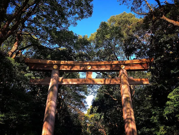 Yoyogi Park Gate in Tokyo