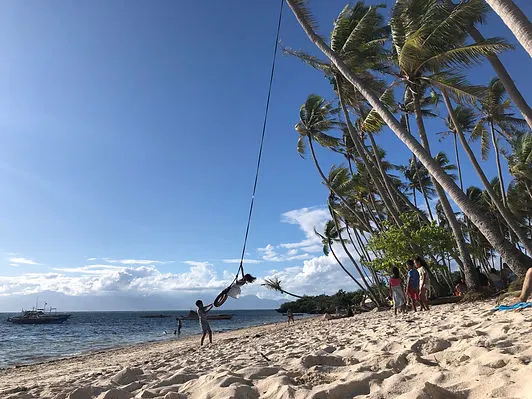 palm trees and beachgoers on Paliton Beach in Siquijor, Philippines