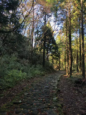 Tokaido Road Hiking Path in Hakone, Japan