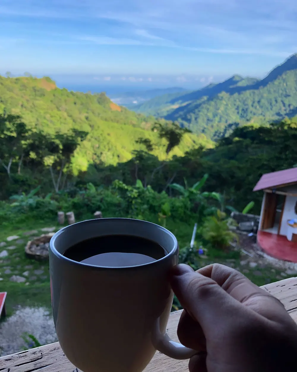 A male backpacker enjoys fresh local coffee from the farm hes staying on at Casas Viejas Hostel in Minca Colombia in the morning