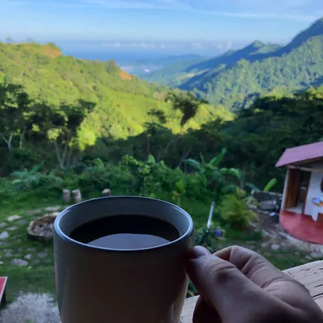 Mosquitoes, Food Poisoning & More: 6 Travel Health Concerns & How to Prep for  Them