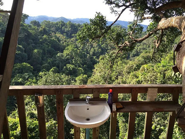 view from the bathroom of the treehouse at the Gibbon Experience near Huay Xai in Laos