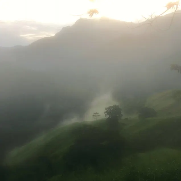 An ethereal and surreal photo of the jungles and mountains on the Lost City Trek in Colombia