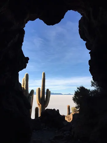 a cave and cactus on the altiplano at the Uyuni Salt Flats, Bolivia