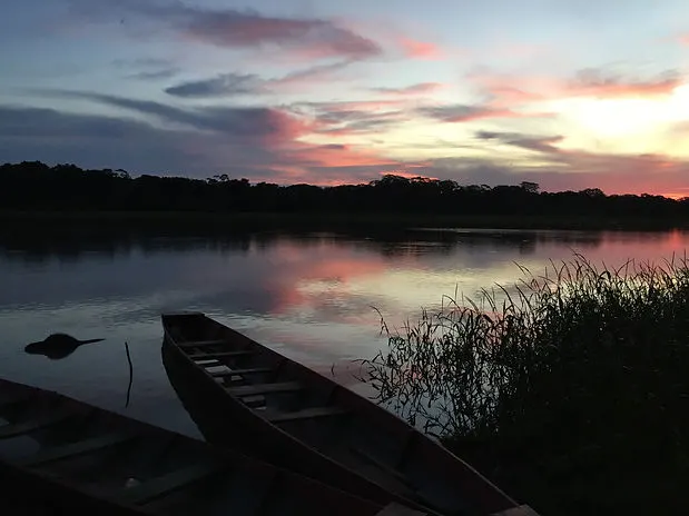Sunset on the Madidi Reserve in the Amazon Jungle in Bolivia