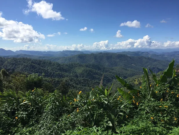 a view from a rest stop between Pai and Chiang Mai in Thailand with jungles in the distance