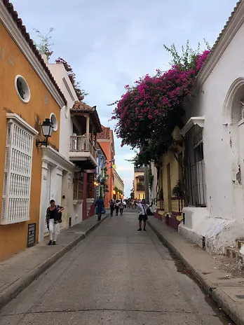 a street in Cartagena Colombia with purple flowers