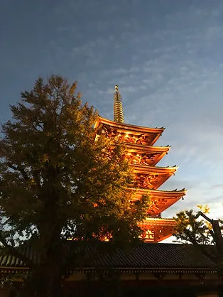 Senso-Ji Tempe at sunset in Tokyo Japan