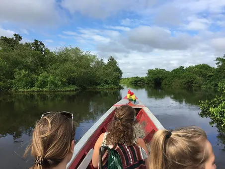 boating through the mangroves on the Pampas Rivebank in Rurrenabaque, Bolivia