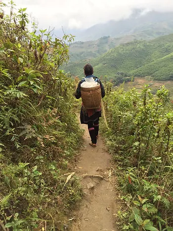Followig an Indigineous tribe woman through the rice terraces in Sapa Vietnam