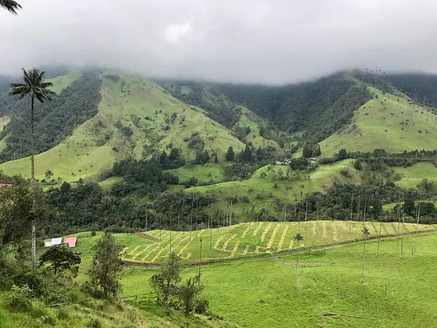 Hills and clouds on the Cocora Valley trek in Salento Colombia